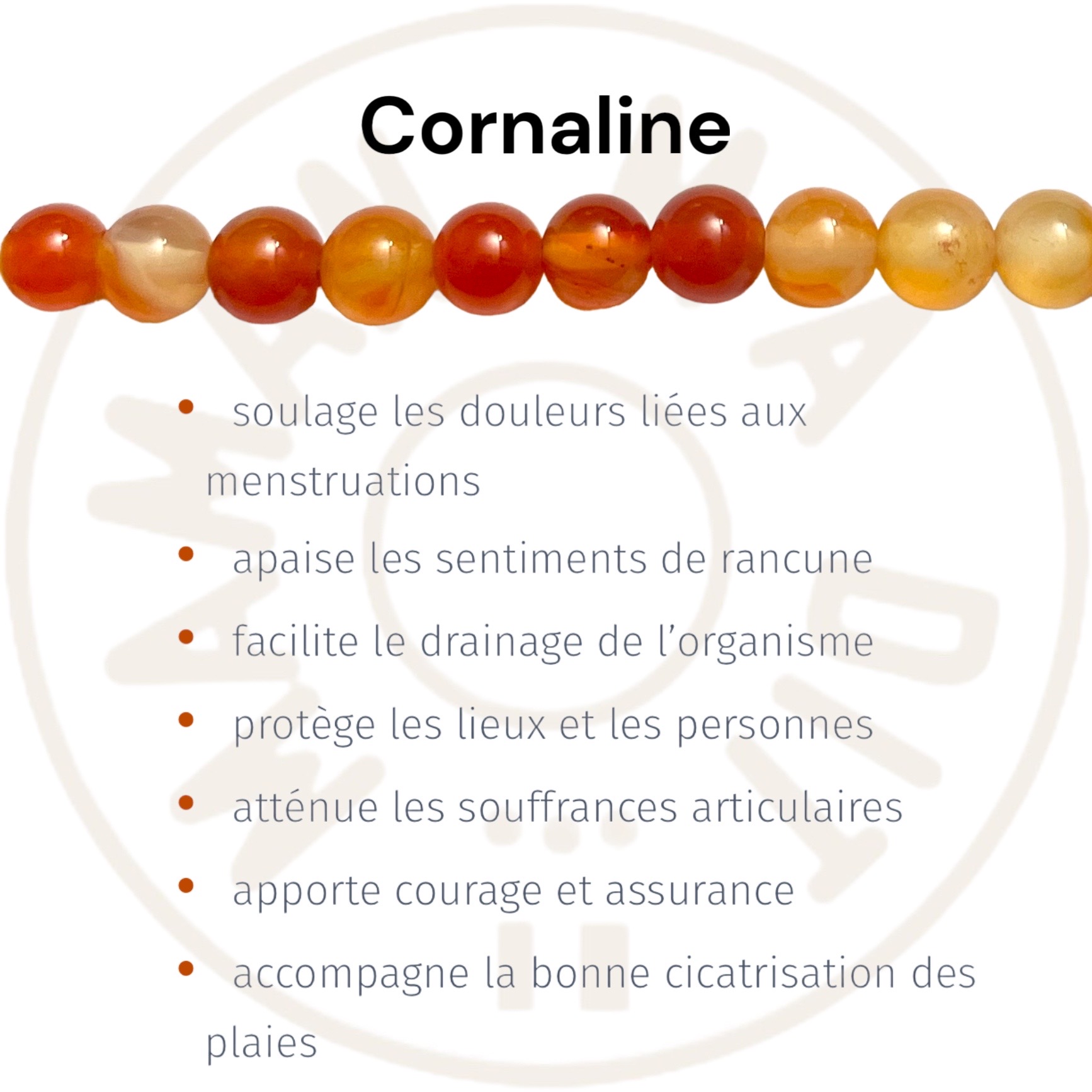 cornaline-vertus.jpg